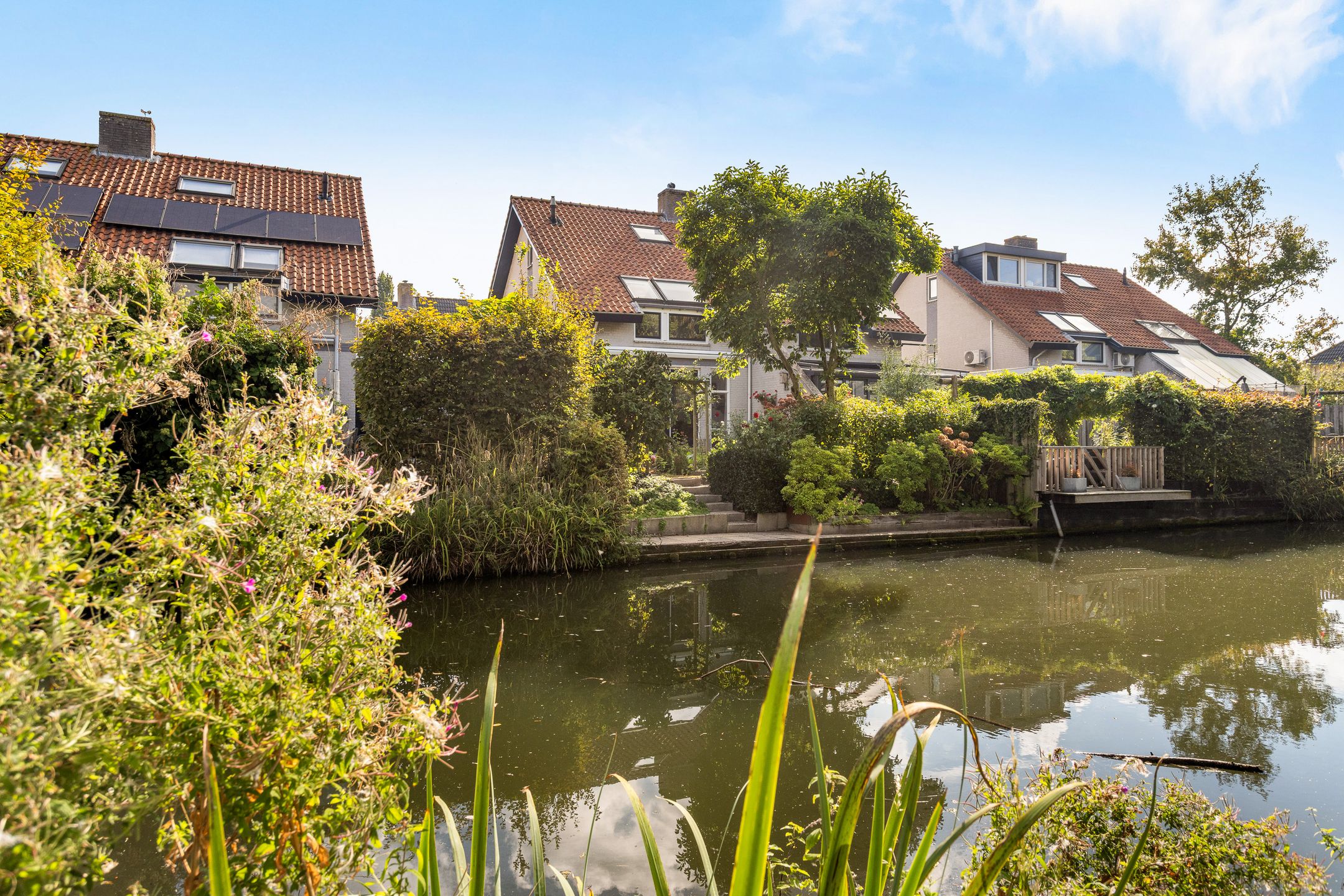 Photo 51 of Alewijnsweer 16