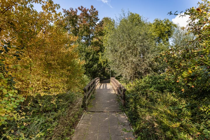 Foto 59 van Alewijnsweer 16