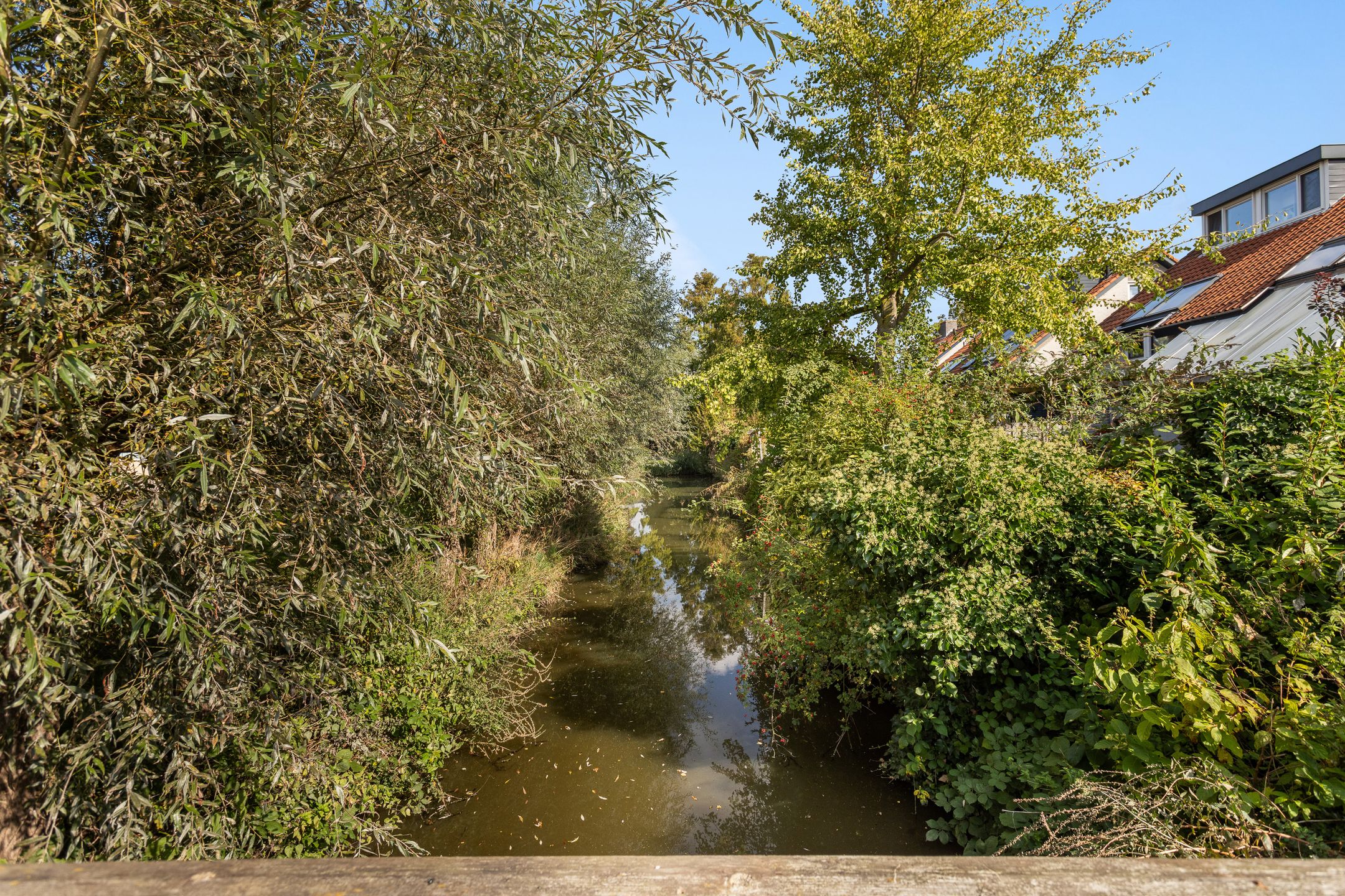 Photo 60 of Alewijnsweer 16