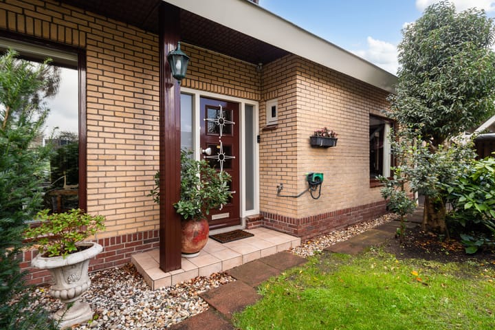 Foto 7 van Rozemarijn 2