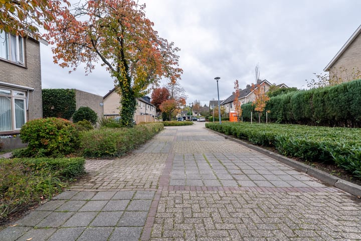 Photo 65 of Brahmsstraat 23