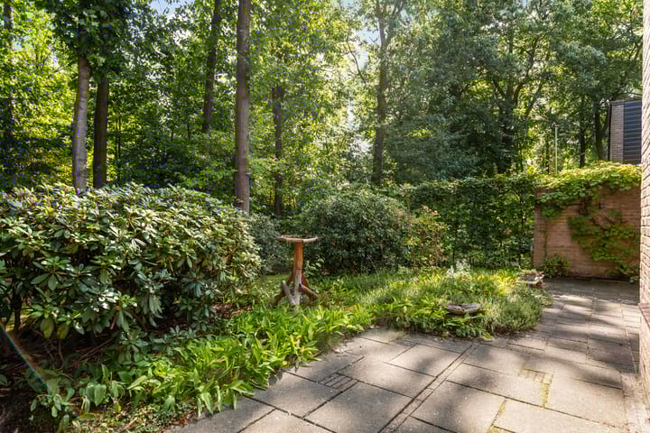 Foto 31 van Naaldhof 9