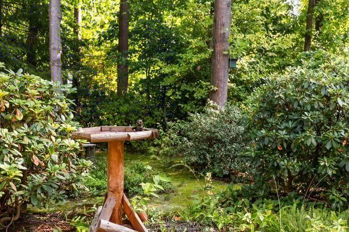 Foto 33 van Naaldhof 9