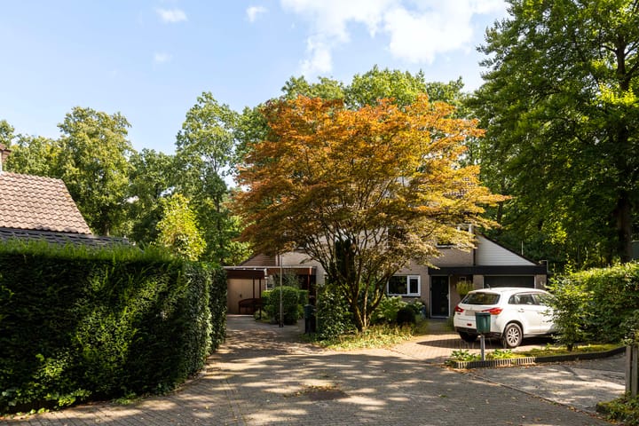 Foto 37 van Naaldhof 9