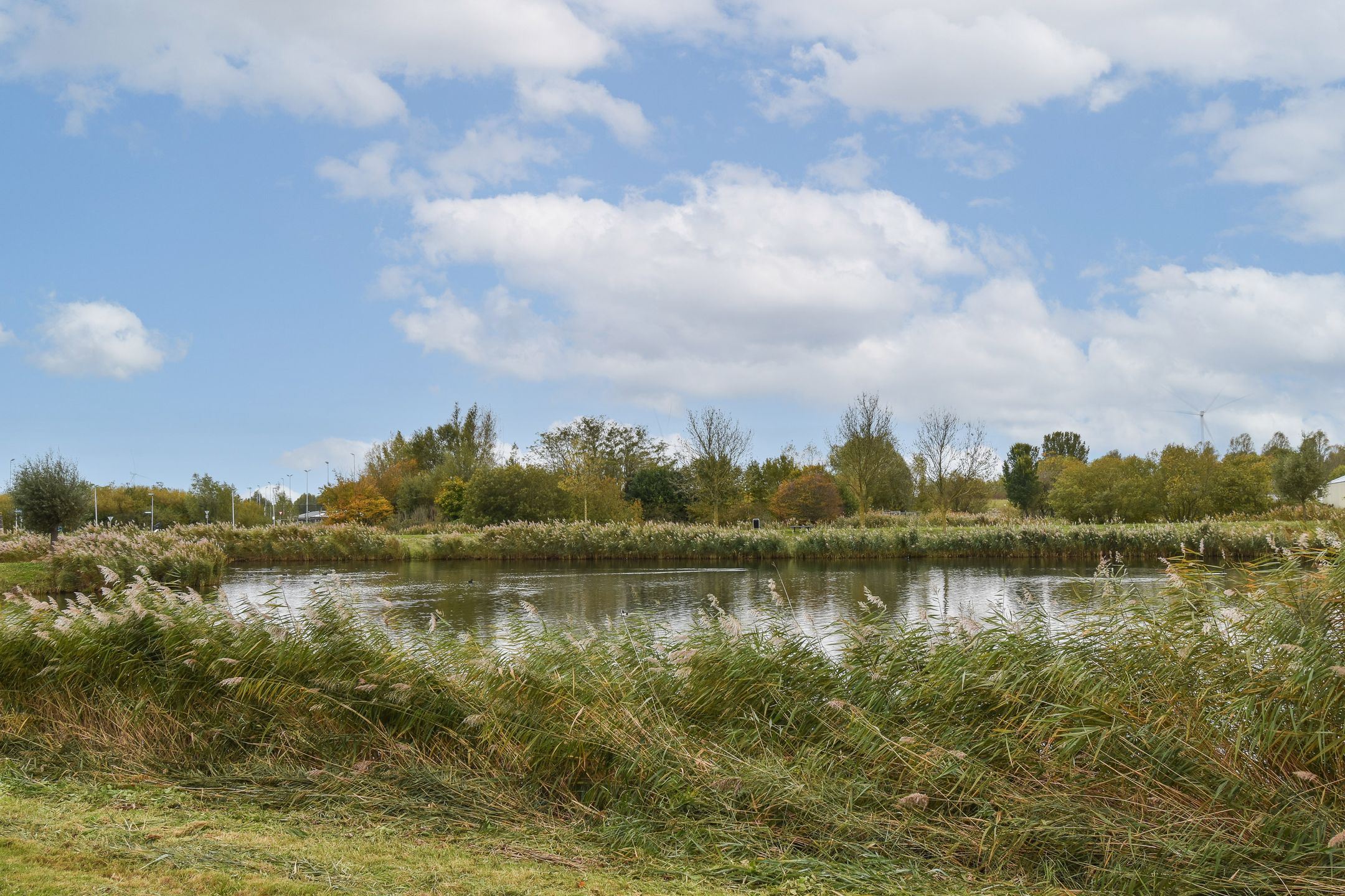 Photo 30 of Spieringwater 14