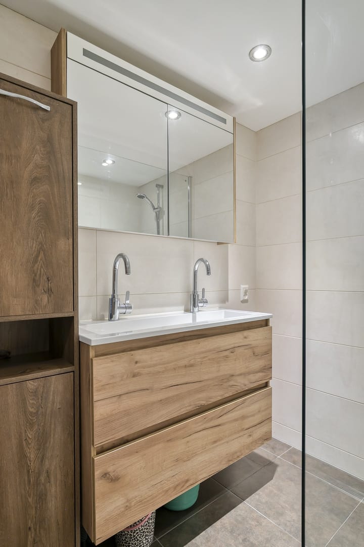 Foto 12 van Rosmolen 50