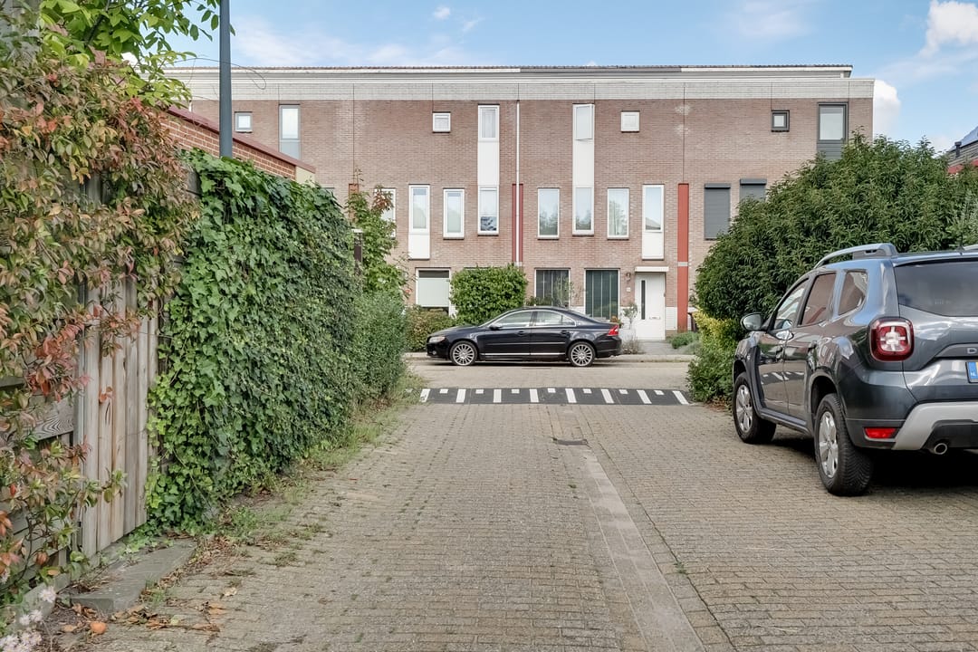 Photo 41 of Robert Stolzhof 41