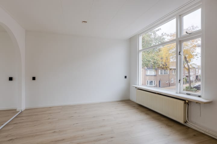 Foto 20 van Wassenaarstraat 44-A