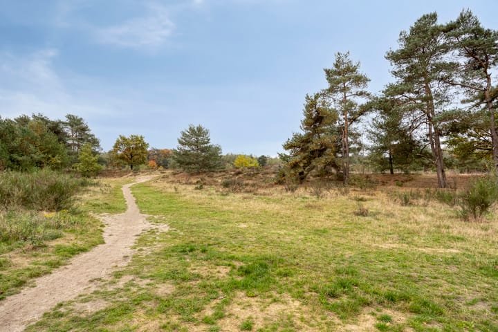 Foto 54 van Wittemstraat 11