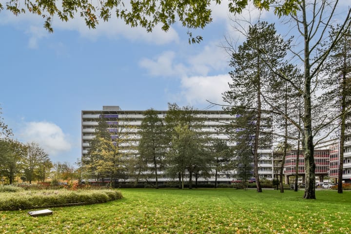 Photo 3 of Tjasker 69