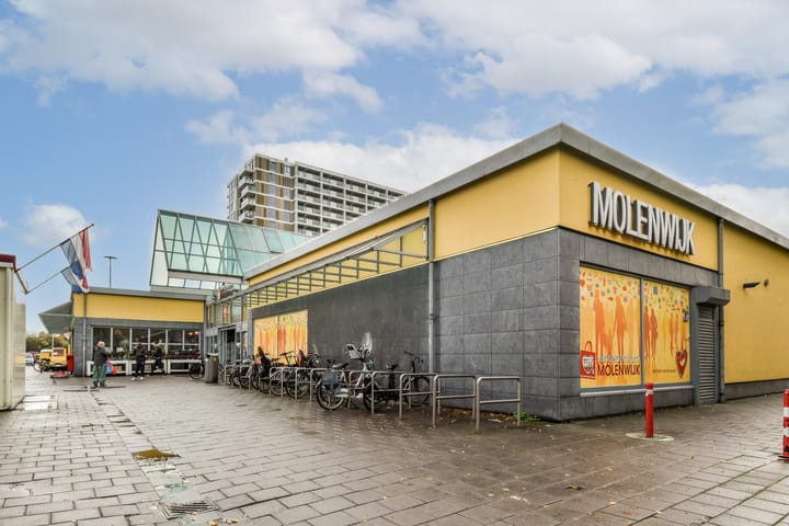 Photo 28 of Tjasker 69