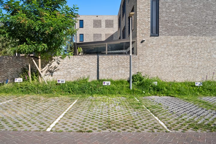 Foto 32 van Sablikapad 6