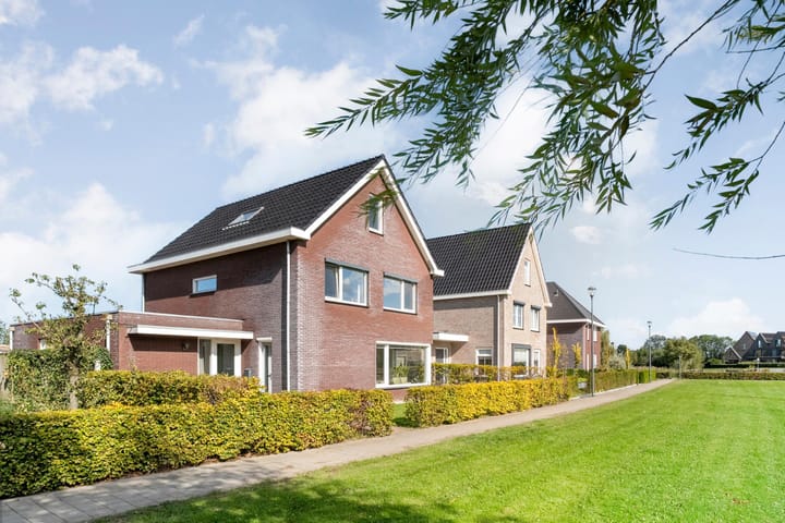 Foto 1 van Zomerbed 8