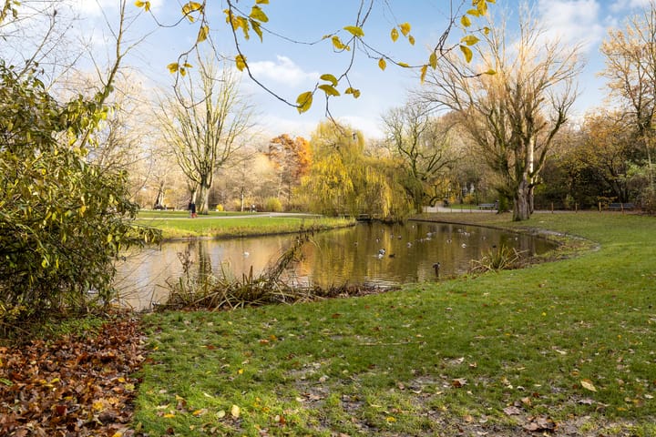 Foto 37 van Govert Flinckstraat 244-2