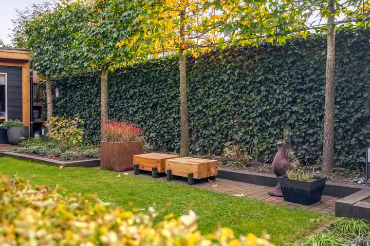 Foto 39 van Mercurius 3