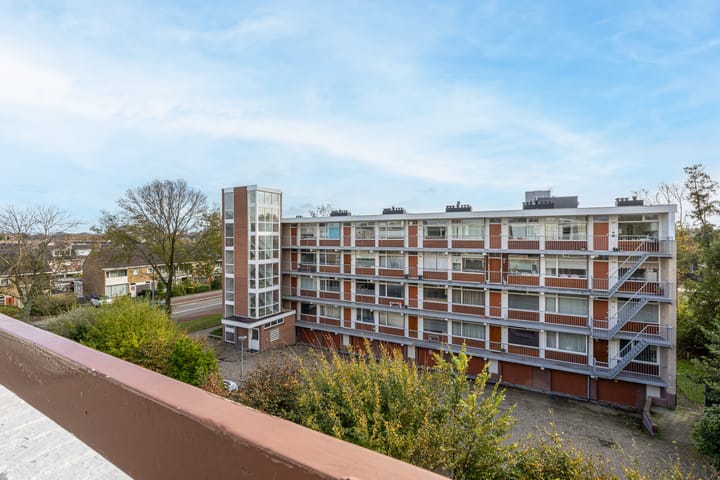 Photo 23 of Jan Ligthartstraat 319