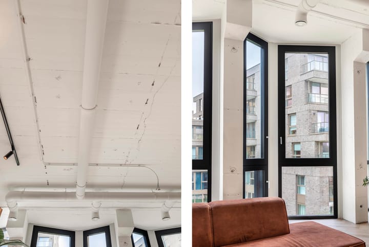 Foto 12 van Surinamepad 152