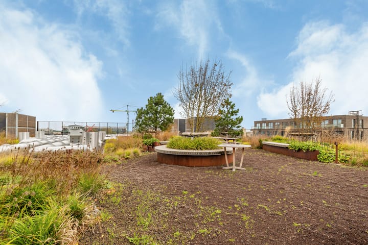 Foto 36 van Surinamepad 152