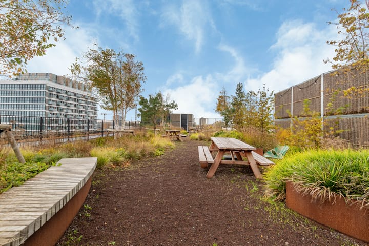 Foto 37 van Surinamepad 152