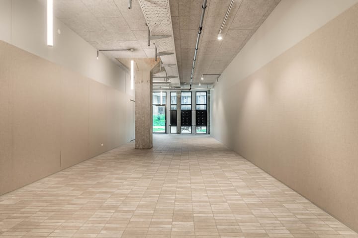 Foto 38 van Surinamepad 152