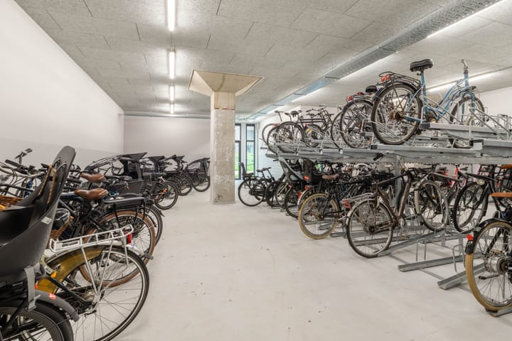 Foto 39 van Surinamepad 152