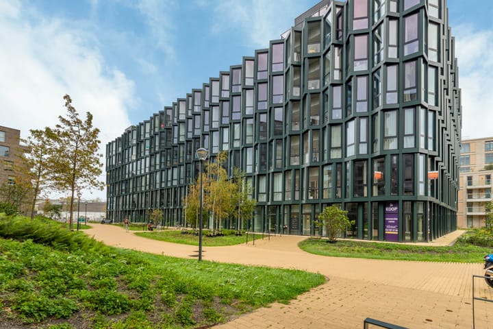 Foto 40 van Surinamepad 152