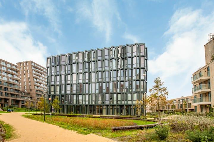 Foto 42 van Surinamepad 152