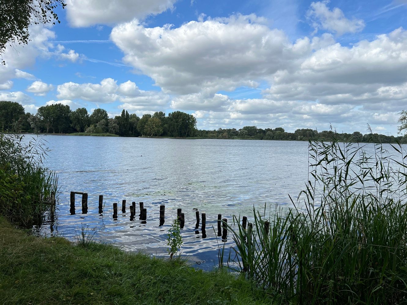 Foto 45 van Willem Gertenbachstraat 42