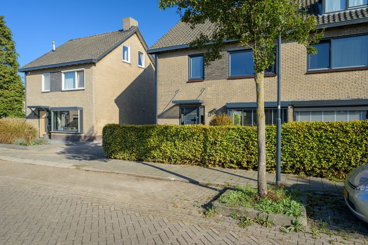 Photo 57 of Herikaard 23