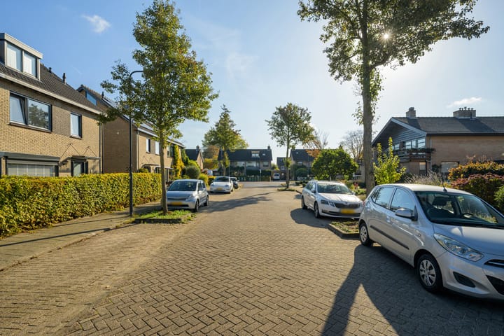 Photo 58 of Herikaard 23