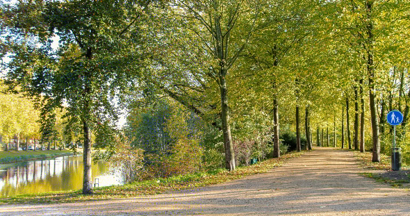 Foto 59 van Oenselsestraat 43