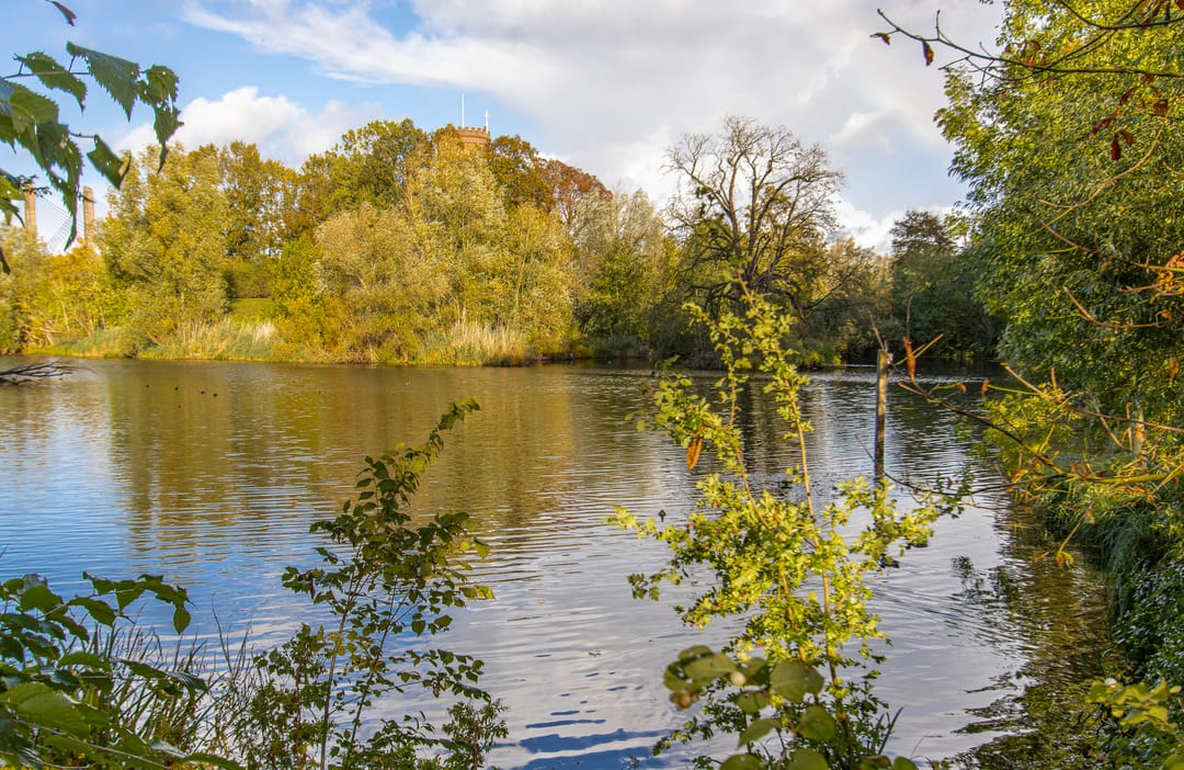 Foto 62 van Oenselsestraat 43