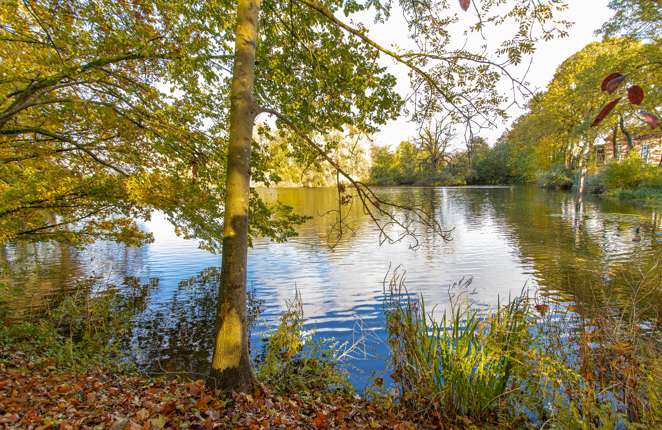 Foto 63 van Oenselsestraat 43