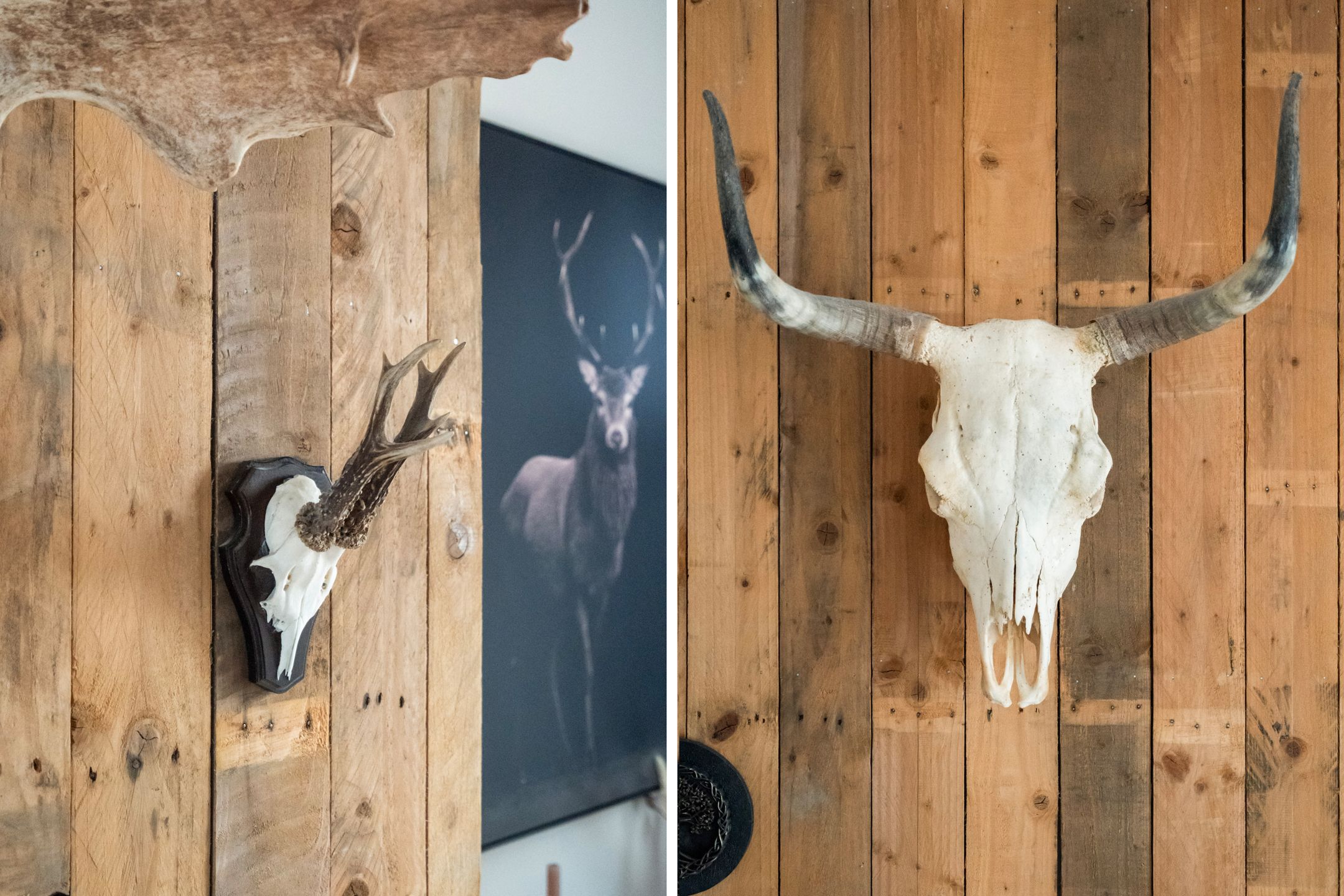 Foto 21 van Vrijlandtstraat 64