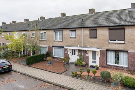 undefined main image