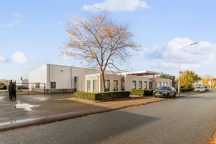 Minervum 7043, Breda