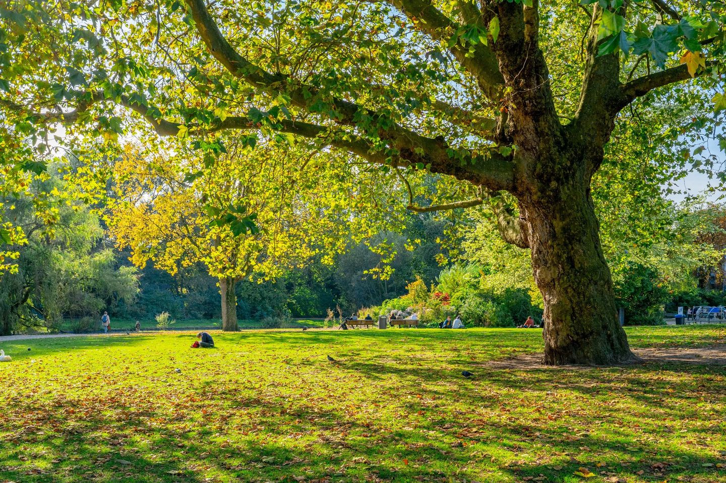 Photo 34 of Govert Flinckstraat 287-2