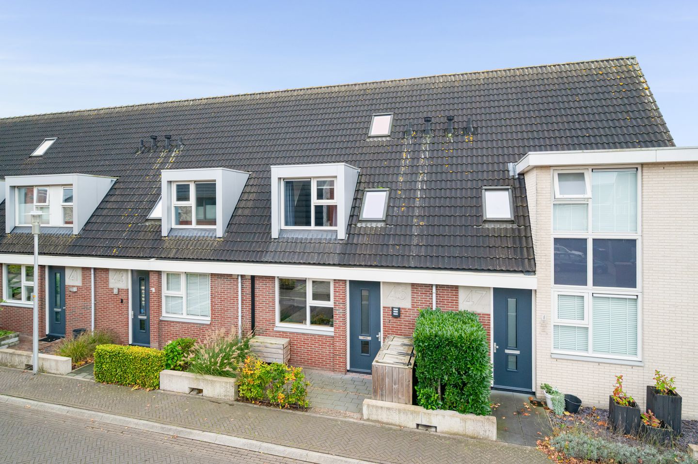 Foto 4 van Vliegenzwam 45