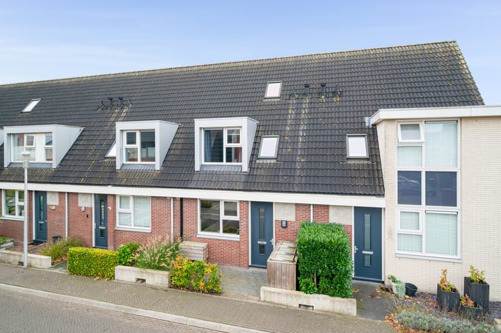 Foto 4 van Vliegenzwam 45