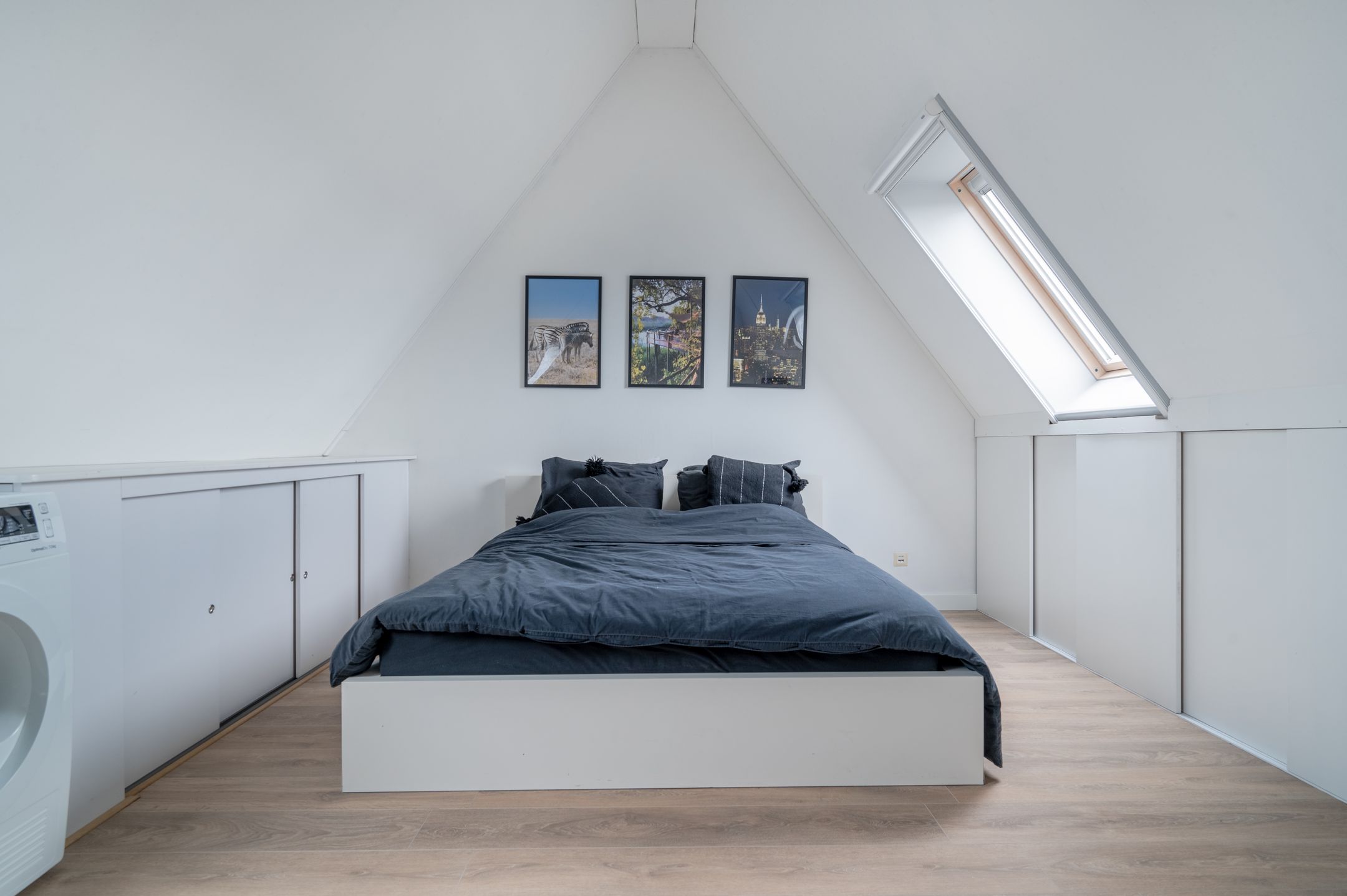 Foto 21 van Vliegenzwam 45