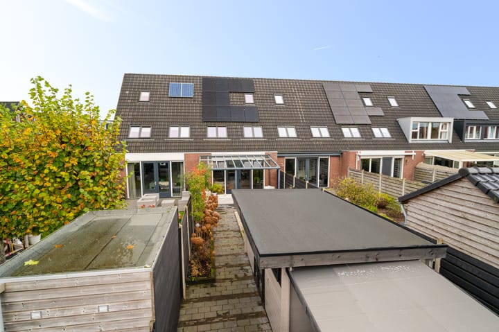 Foto 29 van Vliegenzwam 45