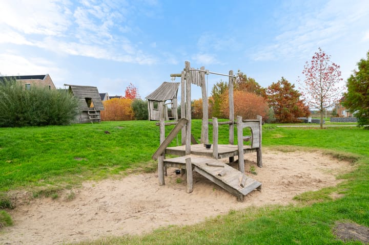 Foto 35 van Vliegenzwam 45