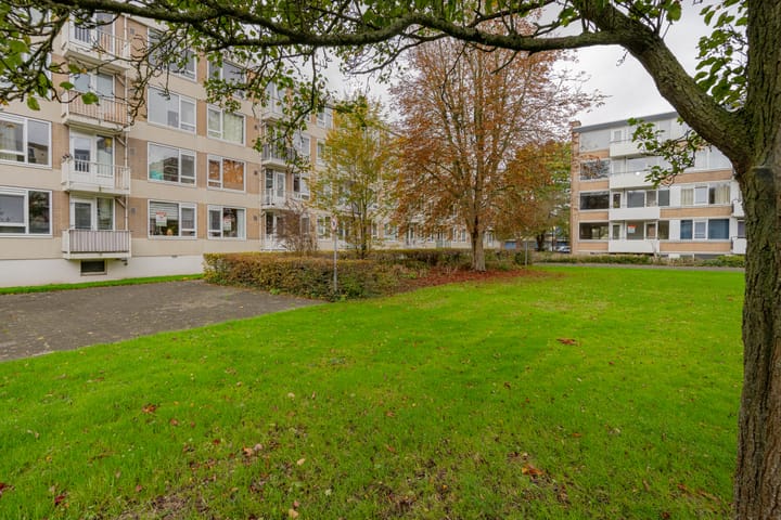 Foto 28 van Heymansstraat 50