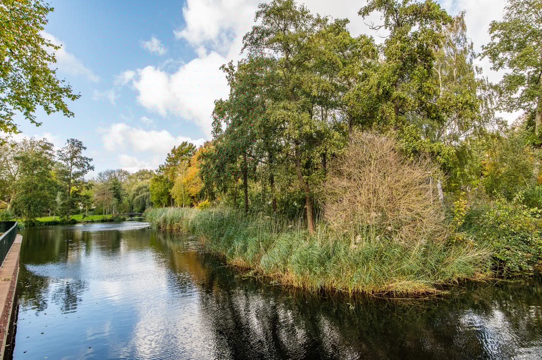 Foto 11 van Granaathorst 399