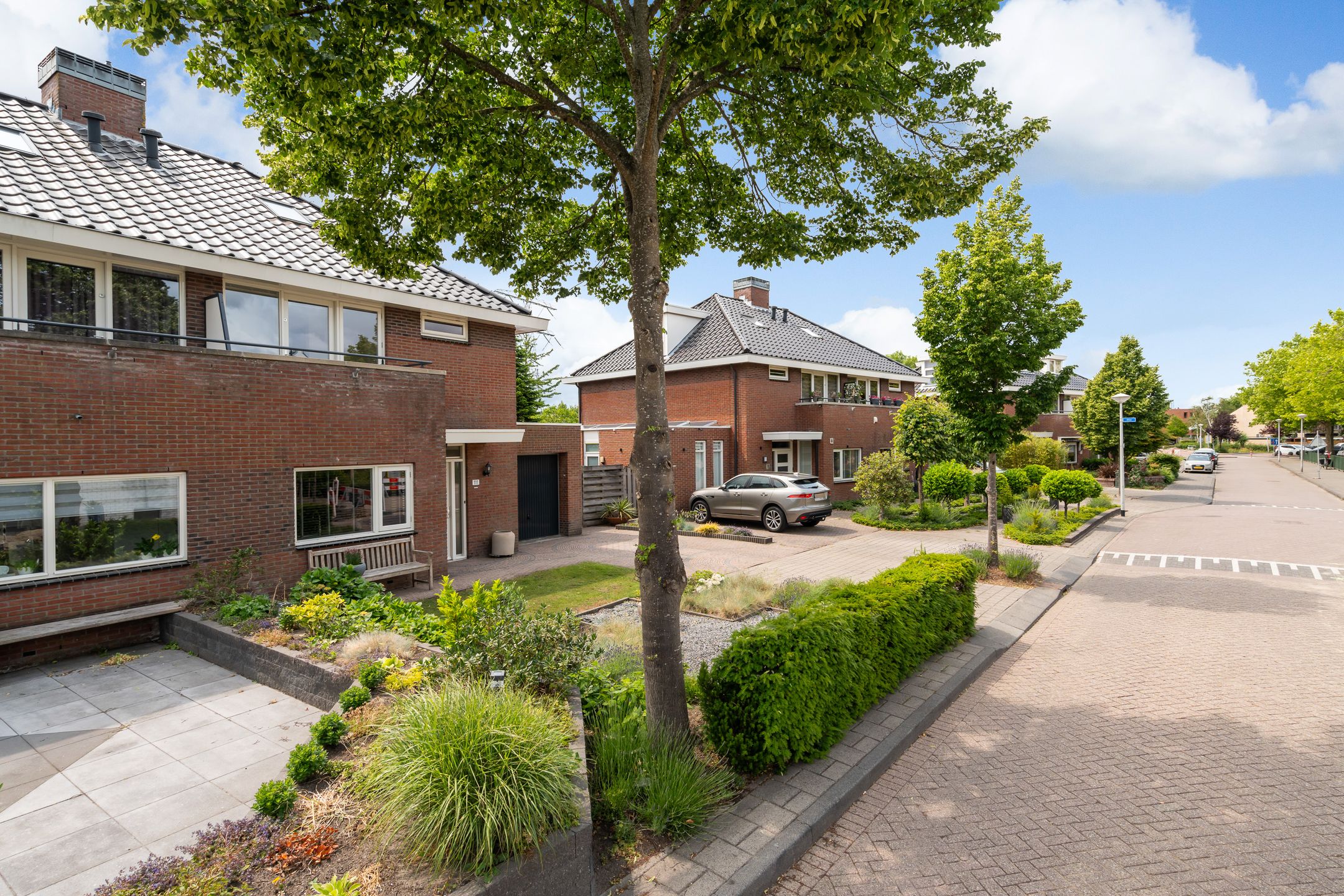 Foto 6 van Sleedoorn 111