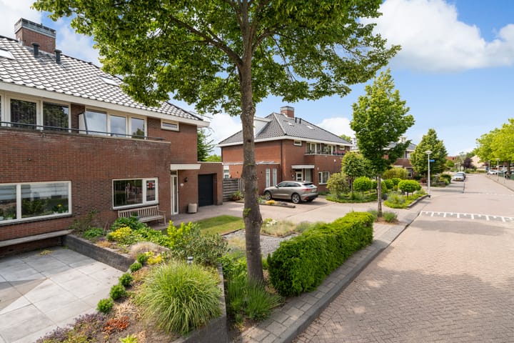 Foto 6 van Sleedoorn 111