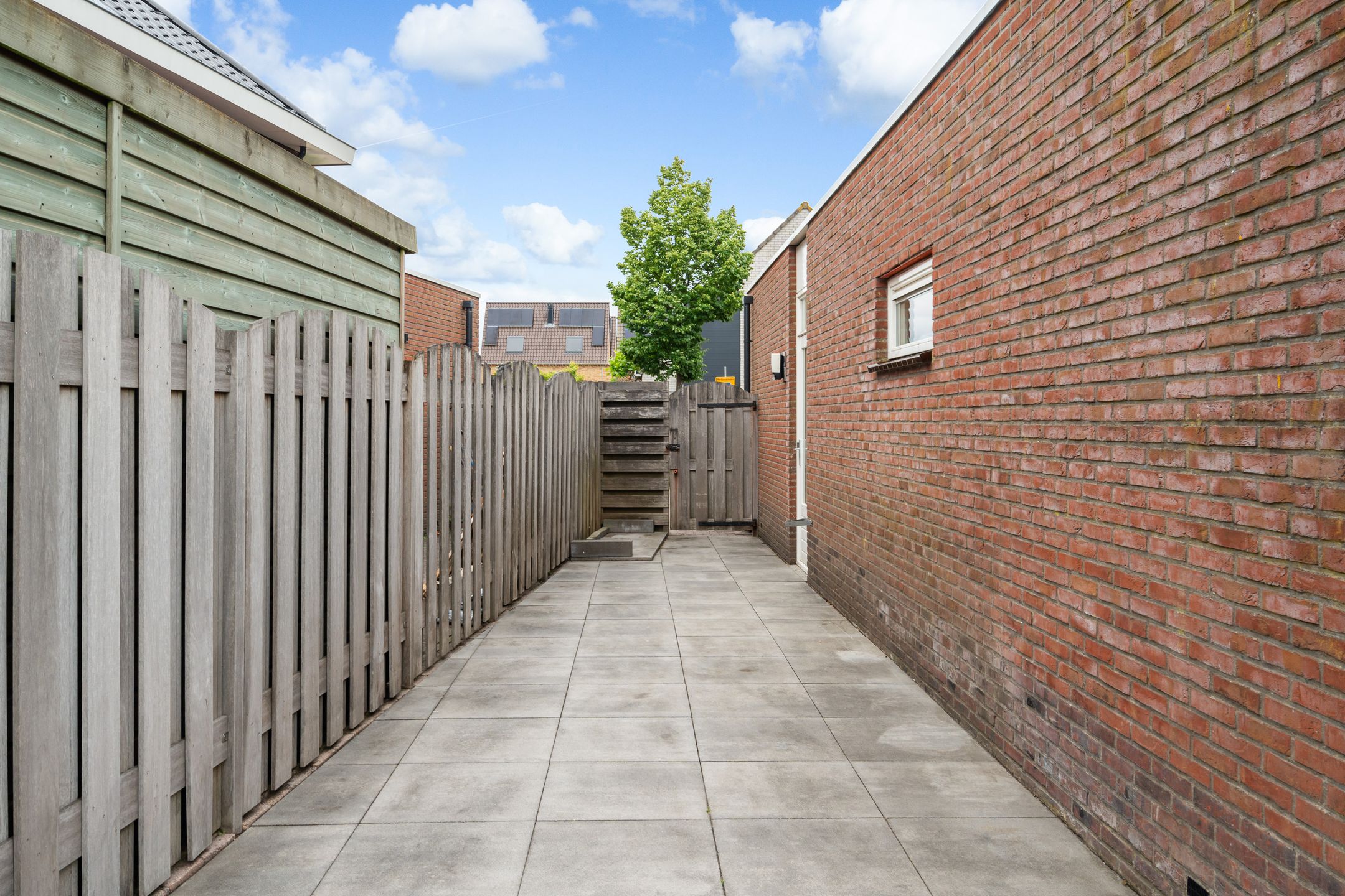 Foto 42 van Sleedoorn 111