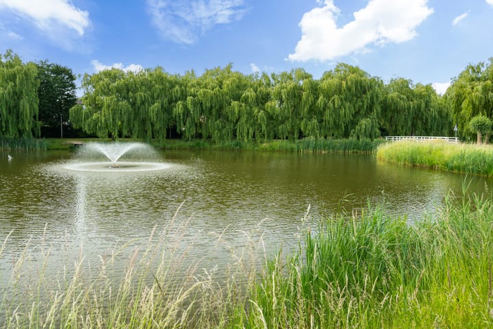 Foto 50 van Sleedoorn 111