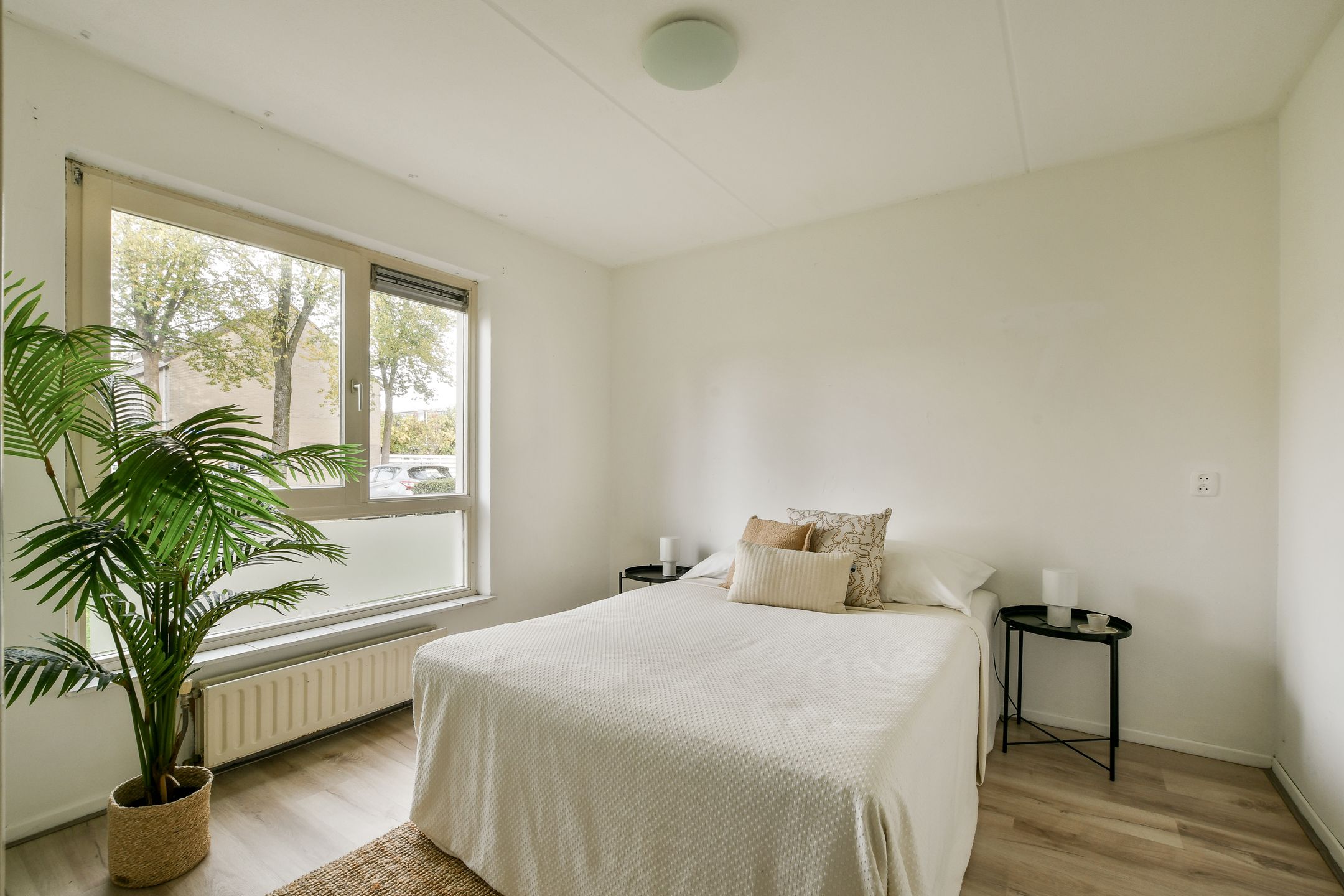 Foto 24 van Clingendaellaan 163