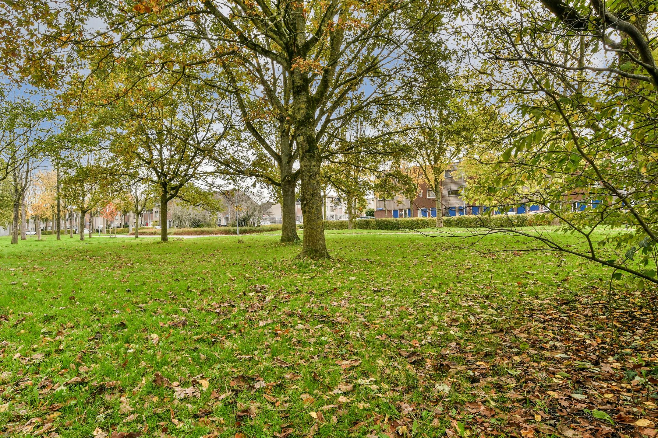 Foto 33 van Clingendaellaan 163